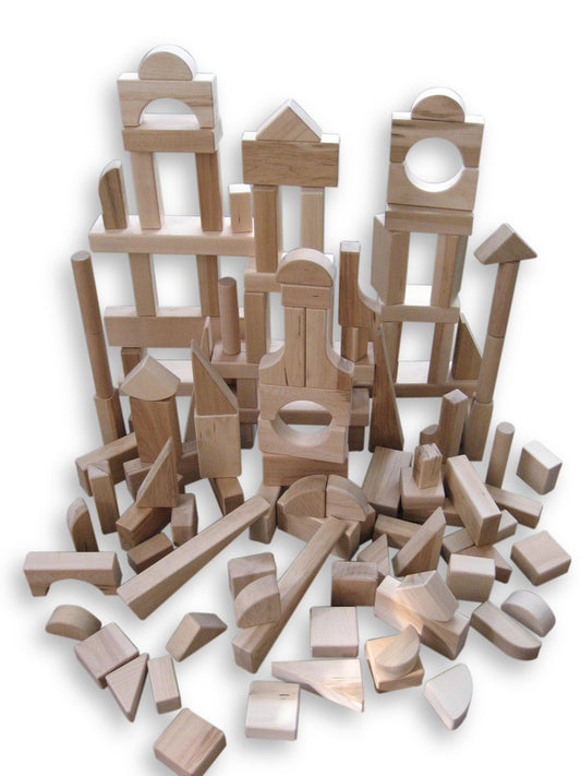 Special Shapes 120 Piece Block Set